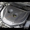 2013+ SkyActiv-D Garage Vary 碳纤维引擎盖 (发动机盖) GV21800X